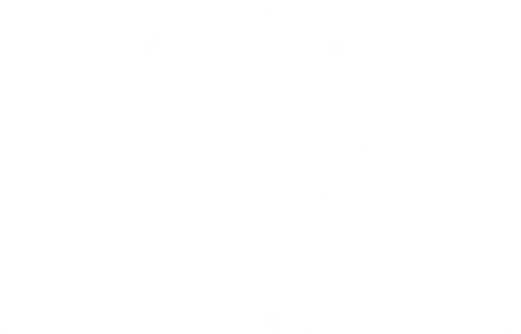Logo - Giezinger Georgel aus Braunau